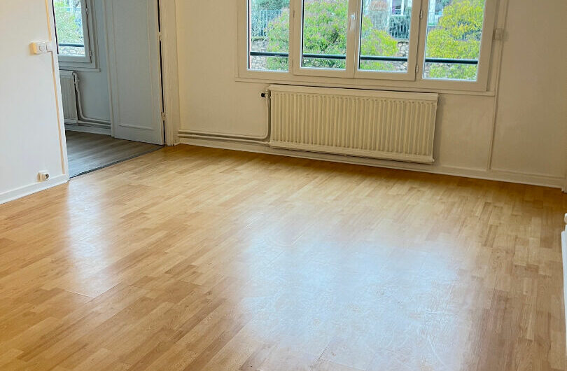 F2 45m² en PARFAIT ETAT