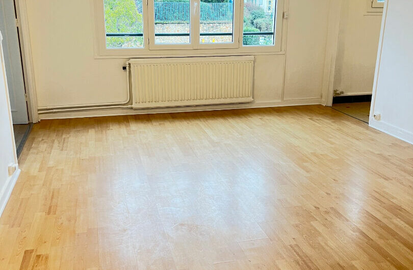 F2 45m² en PARFAIT ETAT