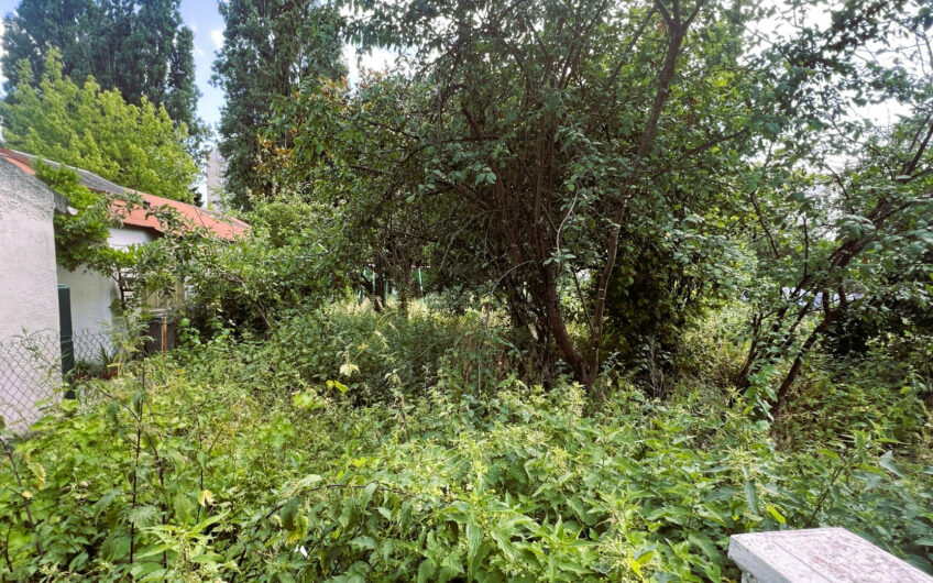 Maison familiale de 320m² utiles sur terrain de 496m²