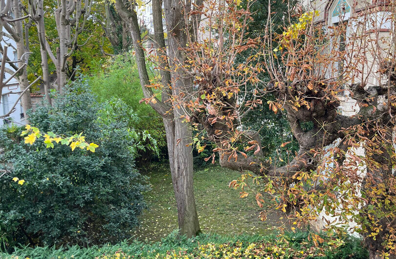 Appartement T3 à BOURG LA REINE